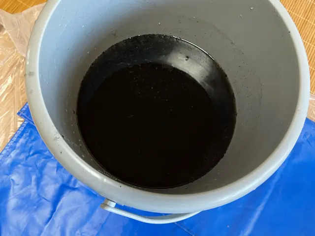 ★11/9(日)1枠ご予約可★◎防カビ抗菌コート無料◎複数台割引◎サービスの画像