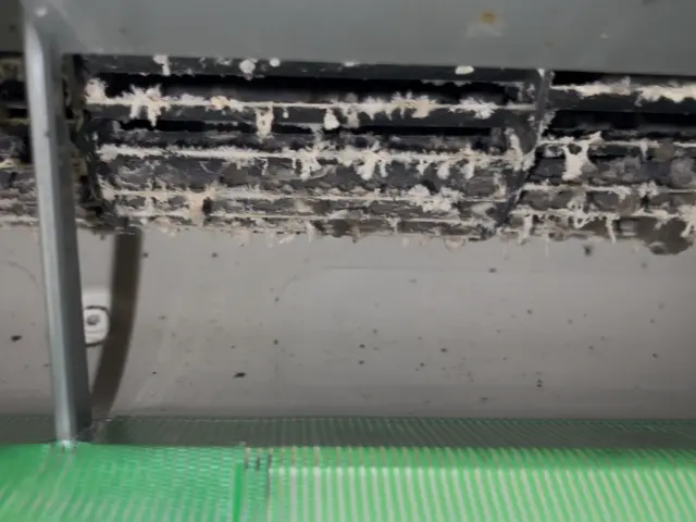 ★年内完売御礼★今年も一年有難うございました！皆様良いお年をお迎えください。サービスの画像