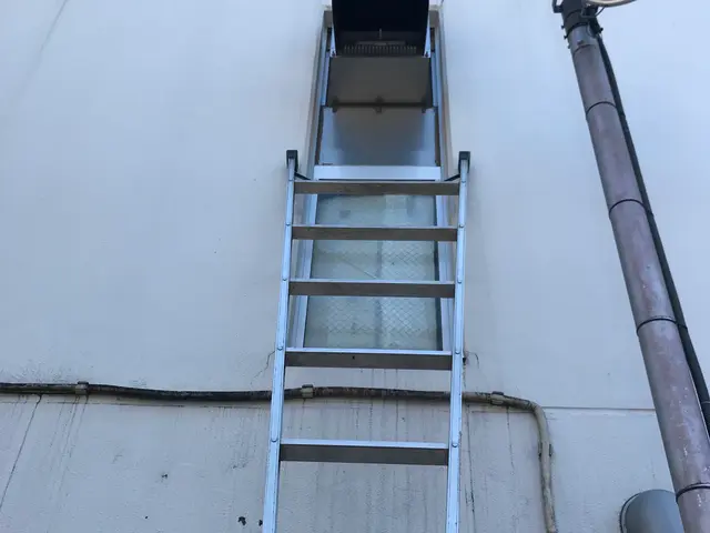 ●安心の1年保証付●即日・翌日対応OK！駆除+侵入口封鎖でもう増えない！サービスの画像