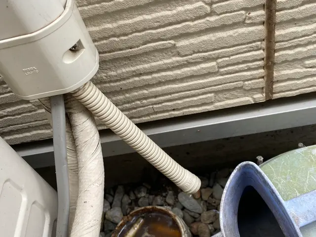 ●安心の1年保証付●即日・翌日対応OK！駆除+侵入口封鎖でもう増えない！サービスの画像