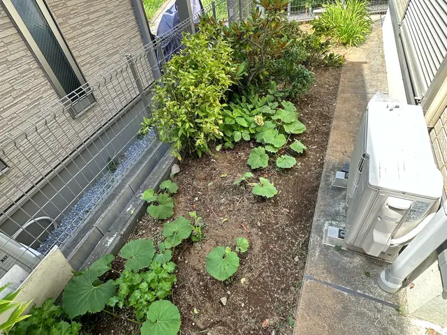 重労働の負担解消します。丁寧作業でスッキリ、外注なし店長の私が伺いますサービスの画像