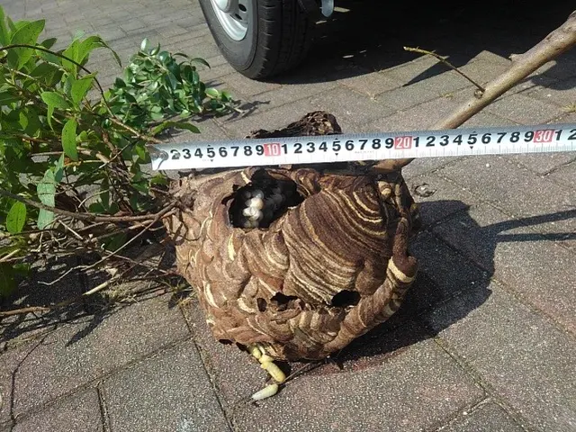 【業歴20年の実績】予約から施工まで全て自社対応◎アフターフォローも万全サービスの画像