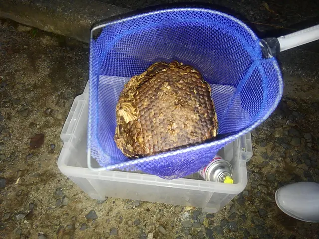 【業歴20年の実績】予約から施工まで全て自社対応◎アフターフォローも万全サービスの画像