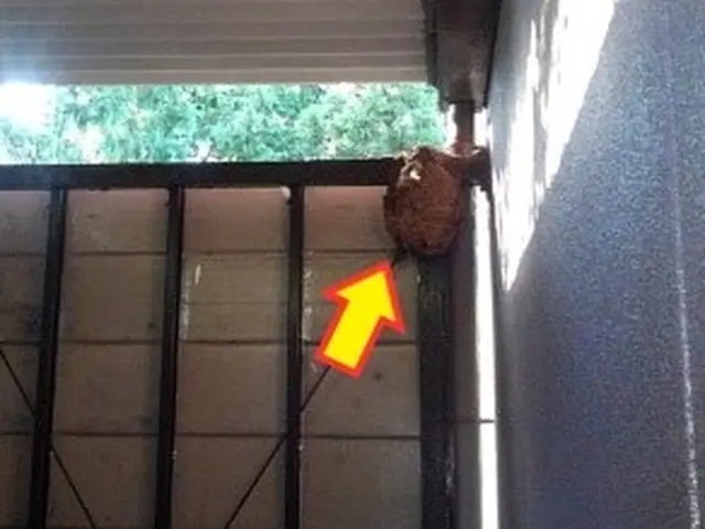 【業歴20年の実績】予約から施工まで全て自社対応◎アフターフォローも万全サービスの画像