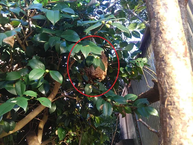 【業歴20年の実績】予約から施工まで全て自社対応◎アフターフォローも万全サービスの画像