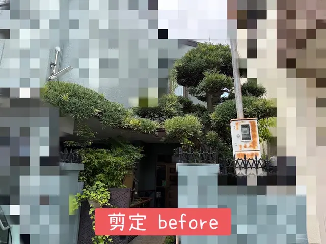 【年中無休で営業中】小さいものから大きいものまで剪定対応可能です！サービスの画像