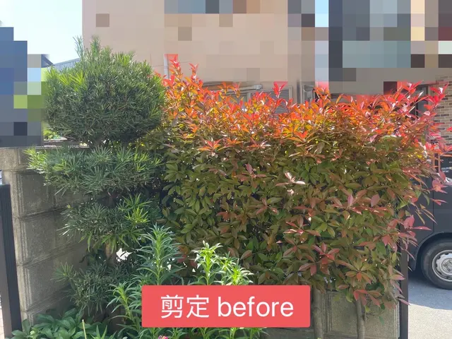 【年中無休で営業中】小さいものから大きいものまで剪定対応可能です！サービスの画像