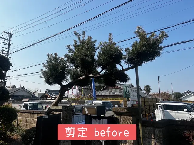 【年中無休で営業中】小さいものから大きいものまで剪定対応可能です！サービスの画像