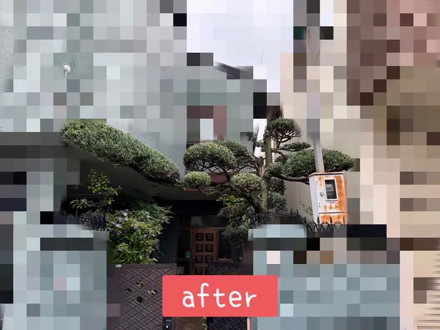 【年中無休で営業中】小さいものから大きいものまで剪定対応可能です！サービスの画像