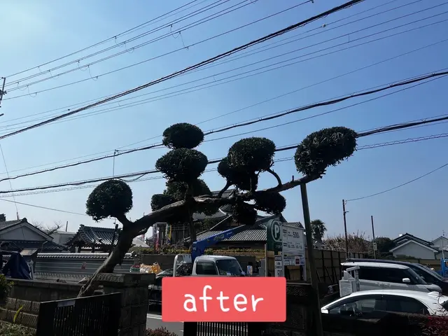 【年中無休で営業中】小さいものから大きいものまで剪定対応可能です！サービスの画像