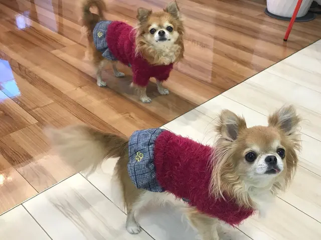 フロアコーティング専門会社です。UV・ガラス・ペット用を取り揃えております。サービスの画像