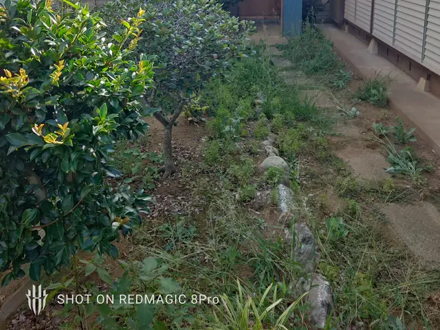 お庭をスッキリ致します！蜂や毛虫もしている為、どんな状況でも作業可能で御座いますサービスの画像