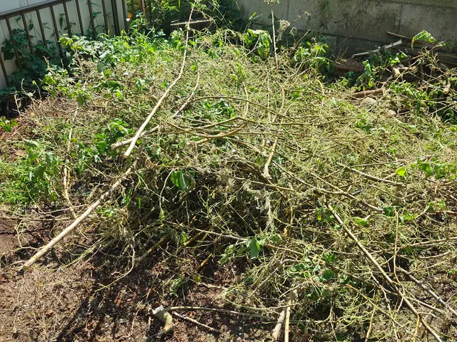 お庭をスッキリ致します！蜂や毛虫もしている為、どんな状況でも作業可能で御座いますサービスの画像