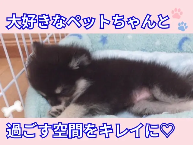 《子育てママ店長がお伺いで安心》◆全国表彰されました◆防カビ抗菌コート”無料”サービスの画像