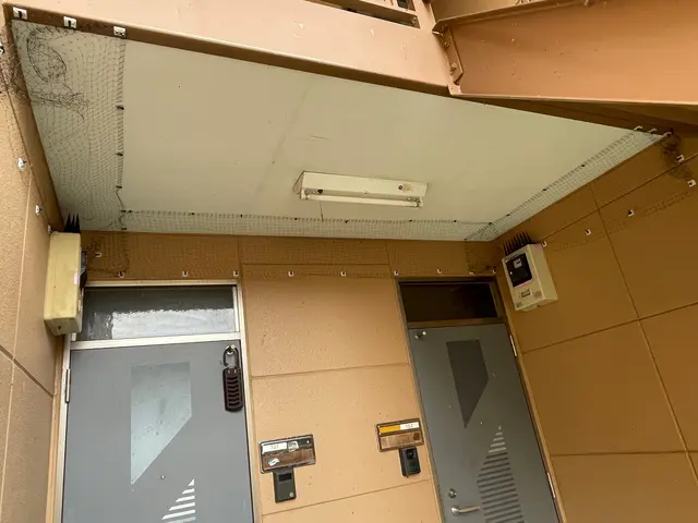 ★防鳥対策実績多数！ ハト・ツバメ・スズメの対策～清掃まで まるひろにお任せ！サービスの画像