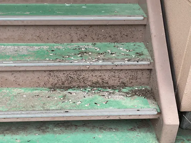 ★防鳥対策実績多数！ ハト・ツバメ・スズメの対策～清掃まで まるひろにお任せ！サービスの画像