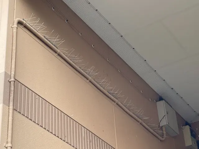 ★防鳥対策実績多数！ ハト・ツバメ・スズメの対策～清掃まで まるひろにお任せ！サービスの画像