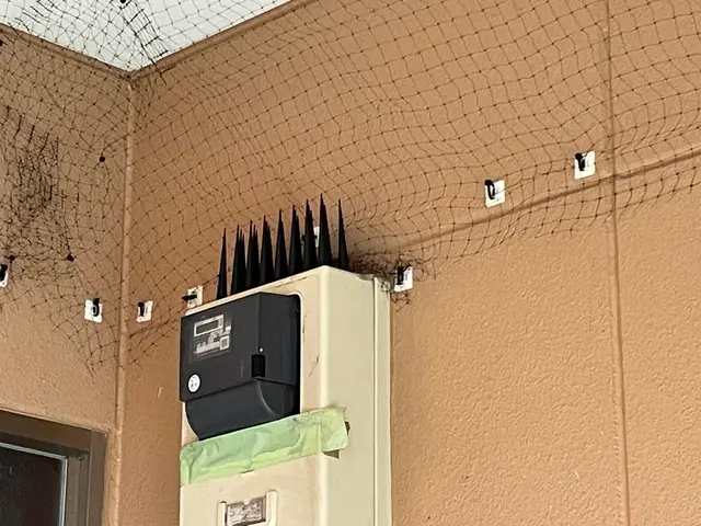 ★防鳥対策実績多数！ ハト・ツバメ・スズメの対策～清掃まで まるひろにお任せ！サービスの画像