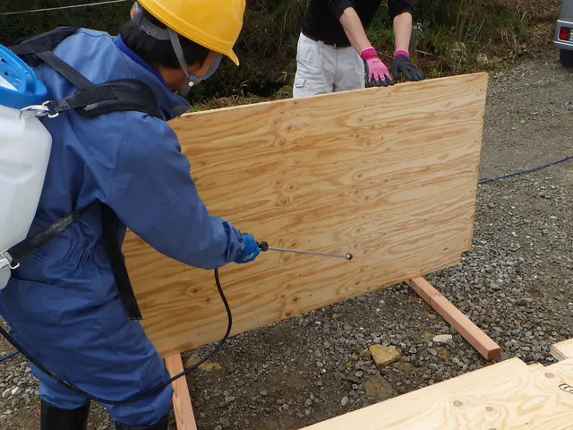 シロアリ防除処理工事サービスの画像