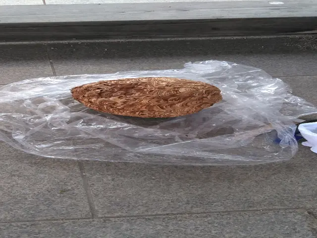 蜂の巣駆除サービスの画像