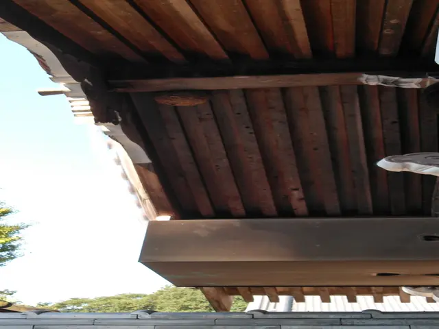 蜂の巣駆除サービスの画像