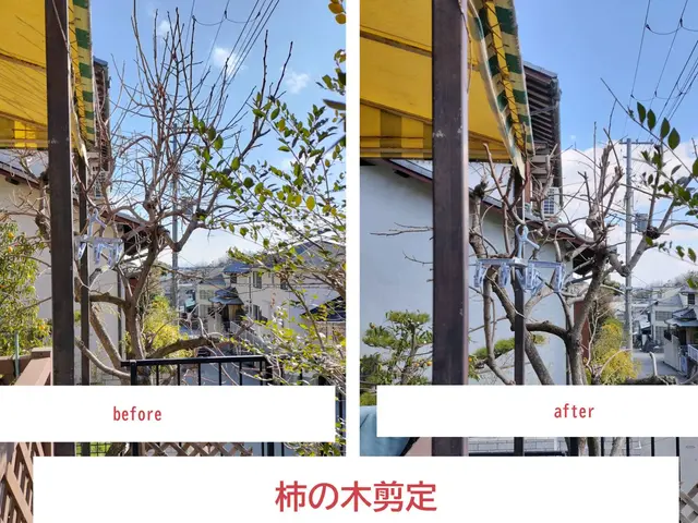 【祝☆新規出店】話しやすい人柄◉損害保険加入済み☆接客業出身★非喫煙者が対応◉サービスの画像