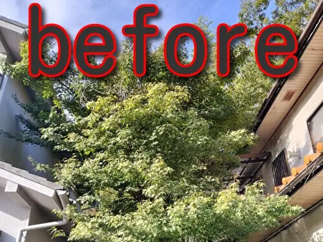 【祝☆新規出店】話しやすい人柄◉損害保険加入済み☆接客業出身★非喫煙者が対応◉サービスの画像