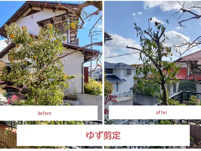 【祝☆新規出店】話しやすい人柄◉損害保険加入済み☆接客業出身★非喫煙者が対応◉サービスの画像