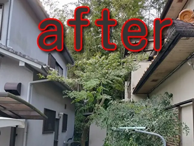 【祝☆新規出店】話しやすい人柄◉損害保険加入済み☆接客業出身★非喫煙者が対応◉サービスの画像