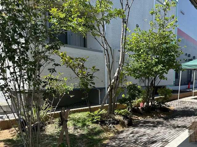 ☆日曜日限定価格☆祖父の技を受け継ぐ、お客様に寄り添った庭木のプロフェッショナルサービスの画像