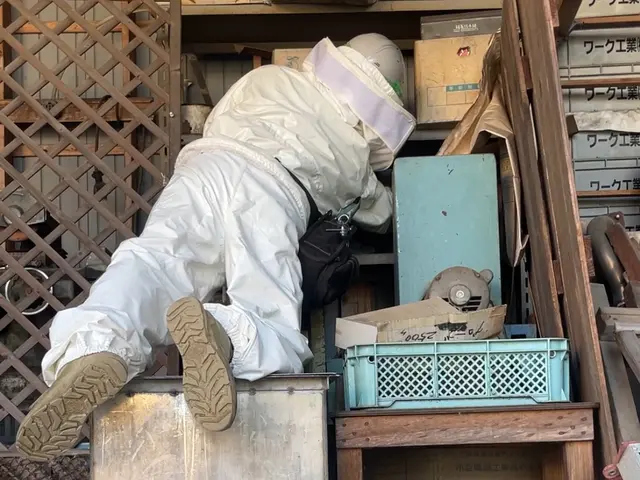 藤キング【蜂駆除プロハンター】限定キャンペーン即日、当日対応おまかせください！サービスの画像