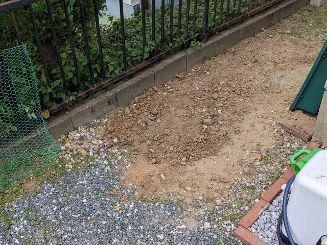 伸び放題の庭木はありませんか？チェーンソーなるべく使わない伐採で安全に切ります。サービスの画像