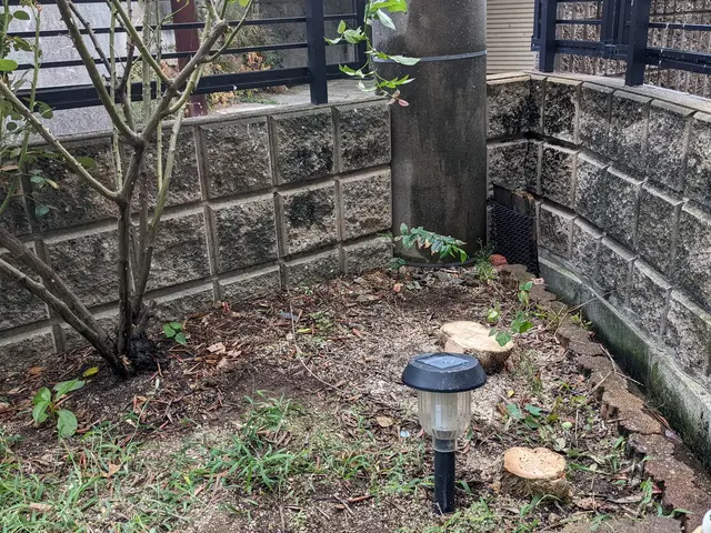 伸び放題の庭木はありませんか？チェーンソーなるべく使わない伐採で安全に切ります。サービスの画像