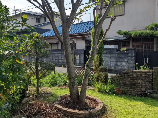 伸び放題の庭木はありませんか？チェーンソーなるべく使わない伐採で安全に切ります。サービスの画像