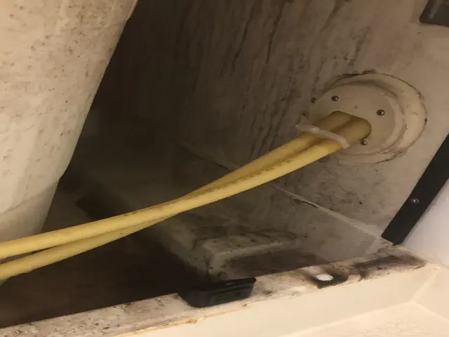 水回り5点セット（お風呂・換気扇・トイレ・キッチン・洗面所）サービスの画像