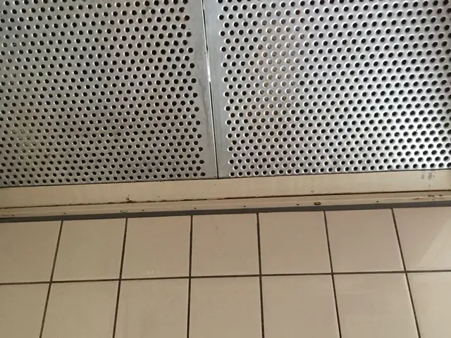 法人店舗◎安心の保険加入済み★女性スタッフ同行可能サービスの画像