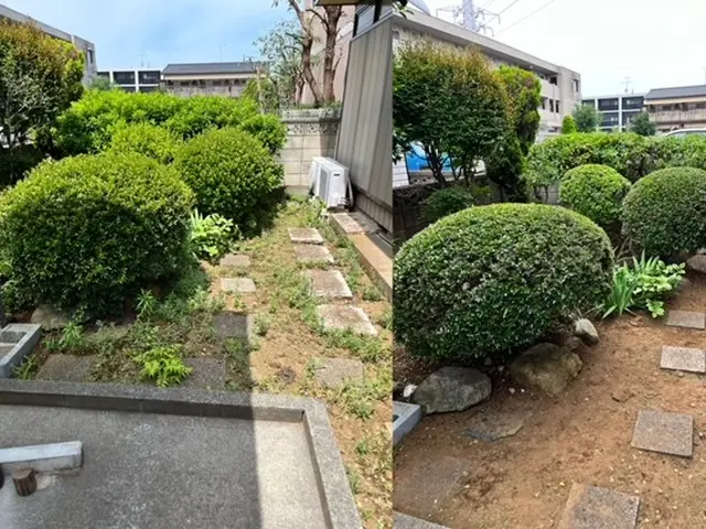 【柏市】最短即日対応可能です！損害保険加入済み◎サービスの画像