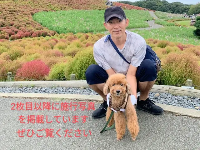 【地域密着　完全自社施工】2級管工事施工管理技士補が伺います！損害保険加入済み！サービスの画像