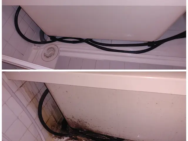 風呂場を綺麗にして、ホッとするバスタイムを・・・！サービスの画像