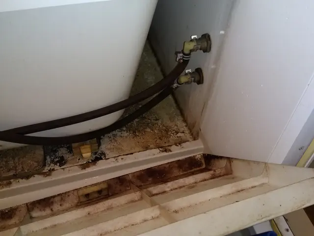 風呂場を綺麗にして、ホッとするバスタイムを・・・！サービスの画像