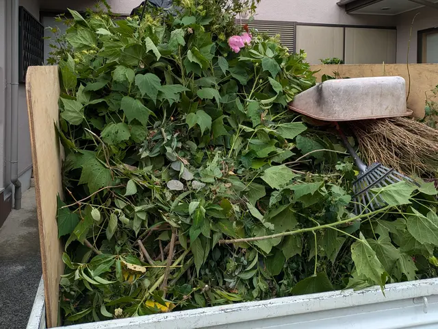 庭木をすっきりサッパリと剪定！ご要望伺います 空き家OK 立会なしも可能です！サービスの画像