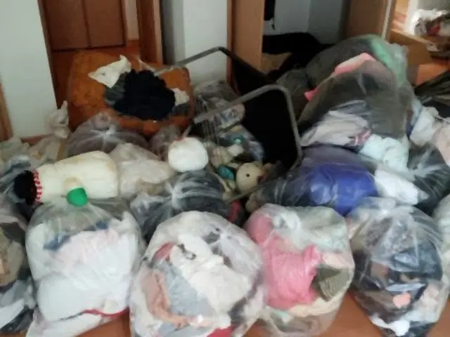 2名で対応！　お部屋の掃除、整理整頓、洗濯、食事、食器洗い等綺麗にします！サービスの画像