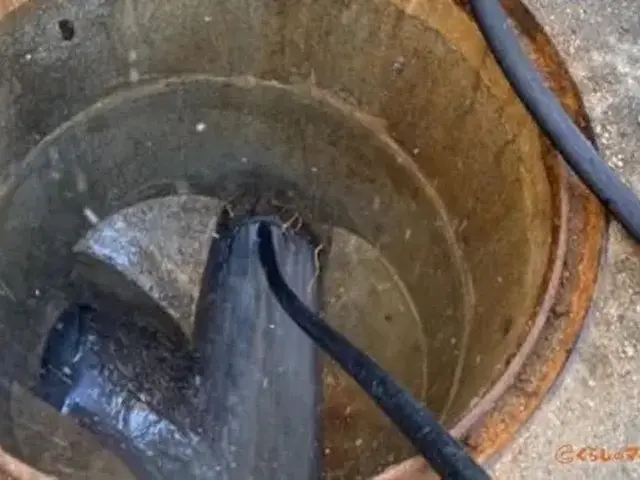 【総合ランキング上位店舗】❇損害保険✴大手出身❇即日対応✴即レス❇口コミ高評価サービスの画像