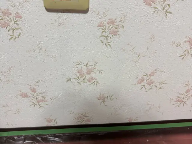 引越し前の壁穴補修など凹み穴補修。サービスの画像