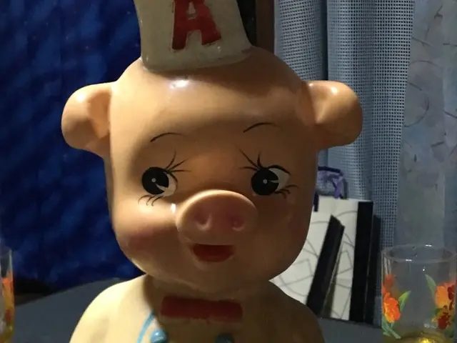 女性スタッフ同行の安心の２名体制。損害保険加入済。サービスの画像