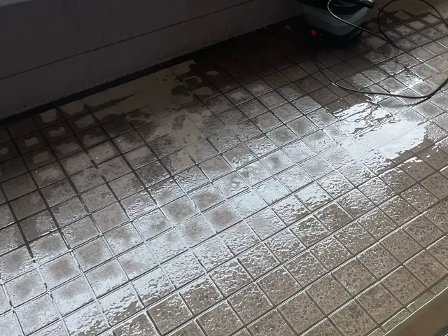 ◆高圧洗浄機で黒ずみ撃退◆激落洗剤で玄関ピカピカに致します！女性スタッフ対応可能サービスの画像
