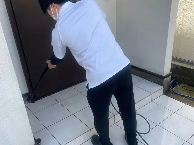 ◆高圧洗浄機で黒ずみ撃退◆激落洗剤で玄関ピカピカに致します！女性スタッフ対応可能サービスの画像