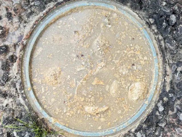 【現地調査・お見積り無料】緊急案件でもご相談ください。丁寧な作業をお約束！サービスの画像