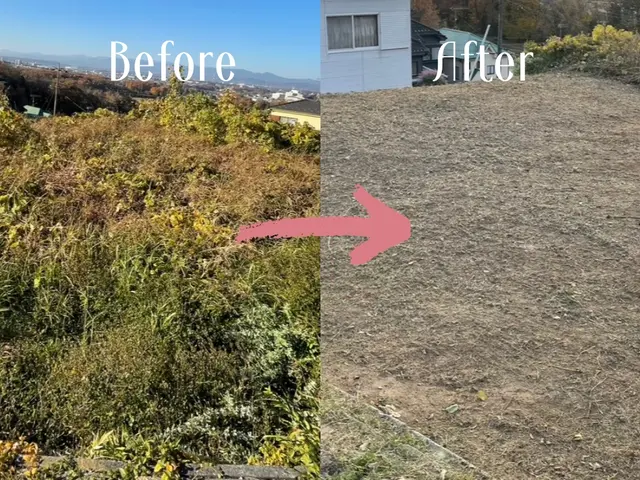 お庭〜空き地まで対応！スピード草刈り｜広い土地もOK｜個人様・法人様歓迎サービスの画像