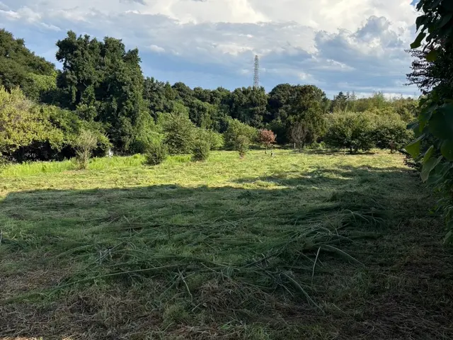 5年の実績と馬力が自慢！予算に合わせて丁寧に提案する安心の出張お手入れサービスサービスの画像